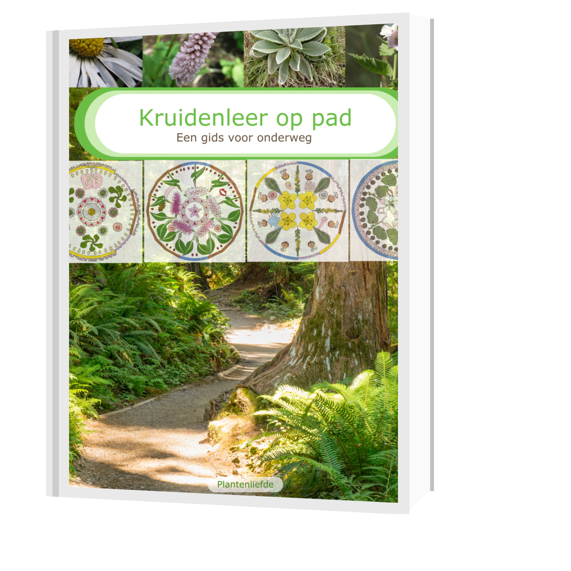 Omslag van de kruidengids voor onderweg tijdens de kruidenwandelingen van Plantenliefde