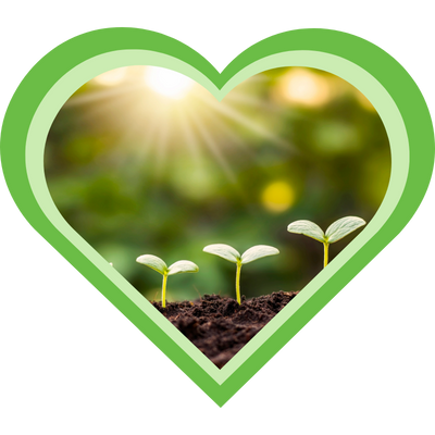 Een kiemende plant richt zich naar de zon