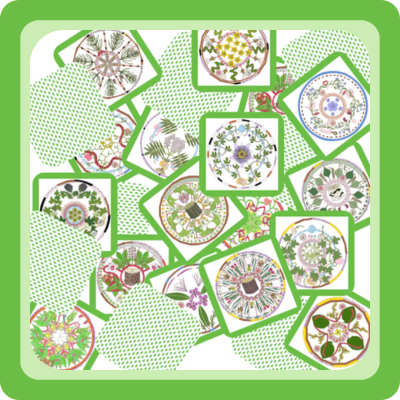 Memory Game: Herbs
