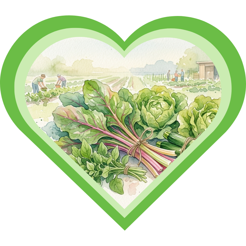 Oogst uit de moestuin, snijbiet, sla, courgette en zeekraal
