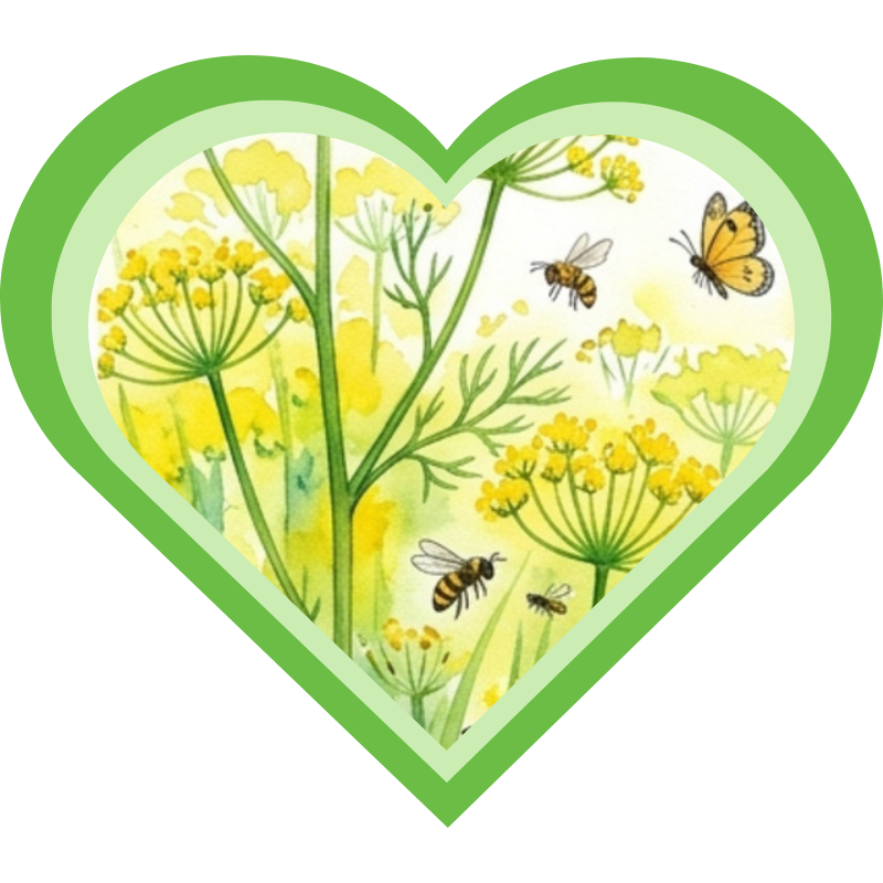 Venkel is een goede plant in een permacultuur ontwerp en voor een natuurlijke tuin en trekt gunstige insecten aan