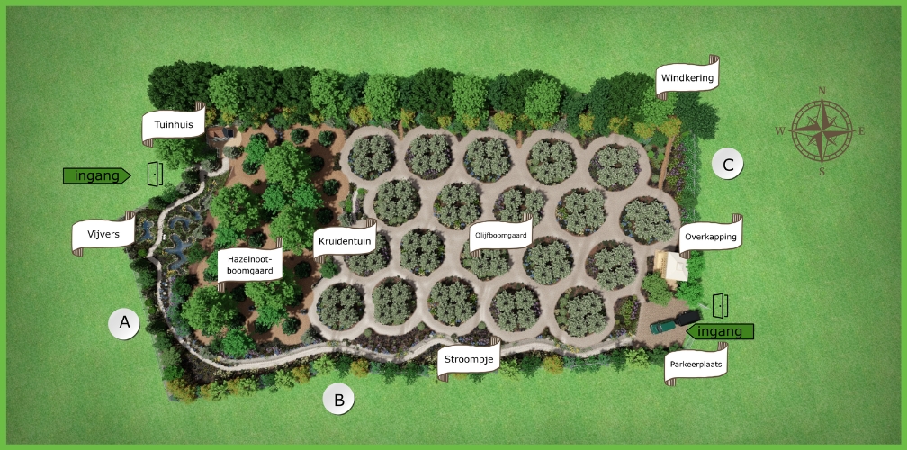 Compleet permacultuurontwerp voor een olijfboom- en hazelnootboomgaard in Spanje
