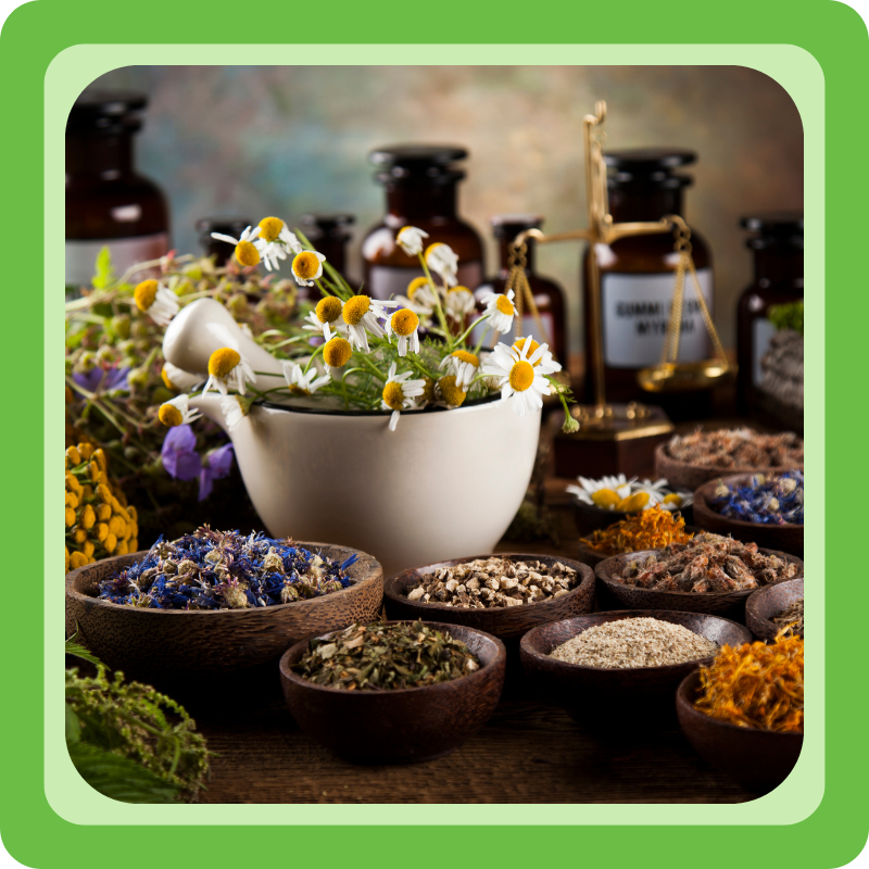 Kruiden en kruidenmiddelen die je leert gebruiken met De Plantwijzer