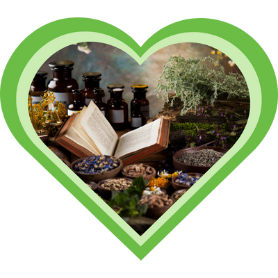 Overzicht van benodigdheden voor een cursus kruidenleer: kruidenmateriaal en een kruidenboek