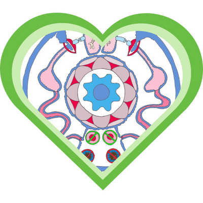 Mandala van slijmstoffen in de vorm van een hart, zoals behandeld in de cursus Kruiden Leren Kennen