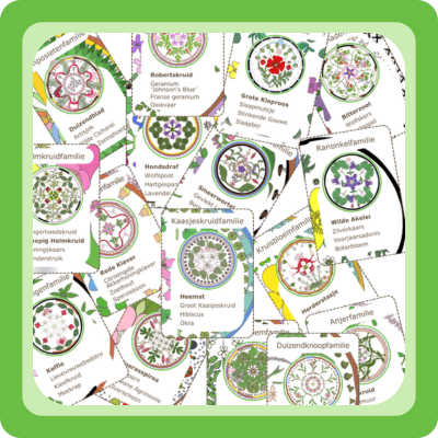 Card Game: Plant Families