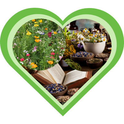 Overzicht van benodigdheden voor een kruidenleercursus: planten, plantengids en kruidenmateriaal