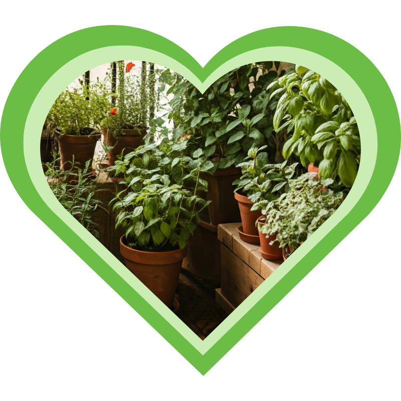 Planten in potten op een balkon