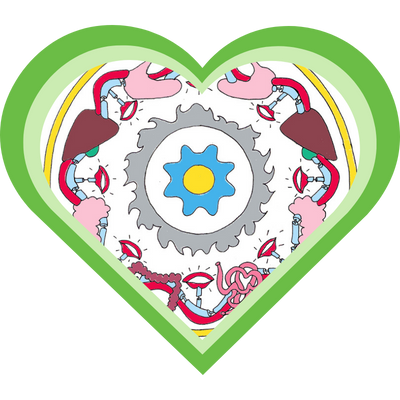Mandala van bitterstoffen in de vorm van een hart, zoals behandeld in de cursus Kruiden Leren Kennen