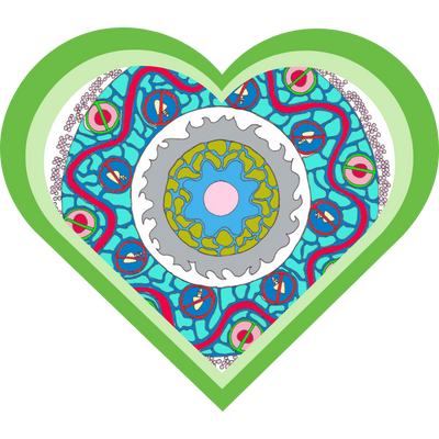 Mandala van saponinen in de vorm van een hart, zoals behandeld in de cursus Kruiden Leren Kennen